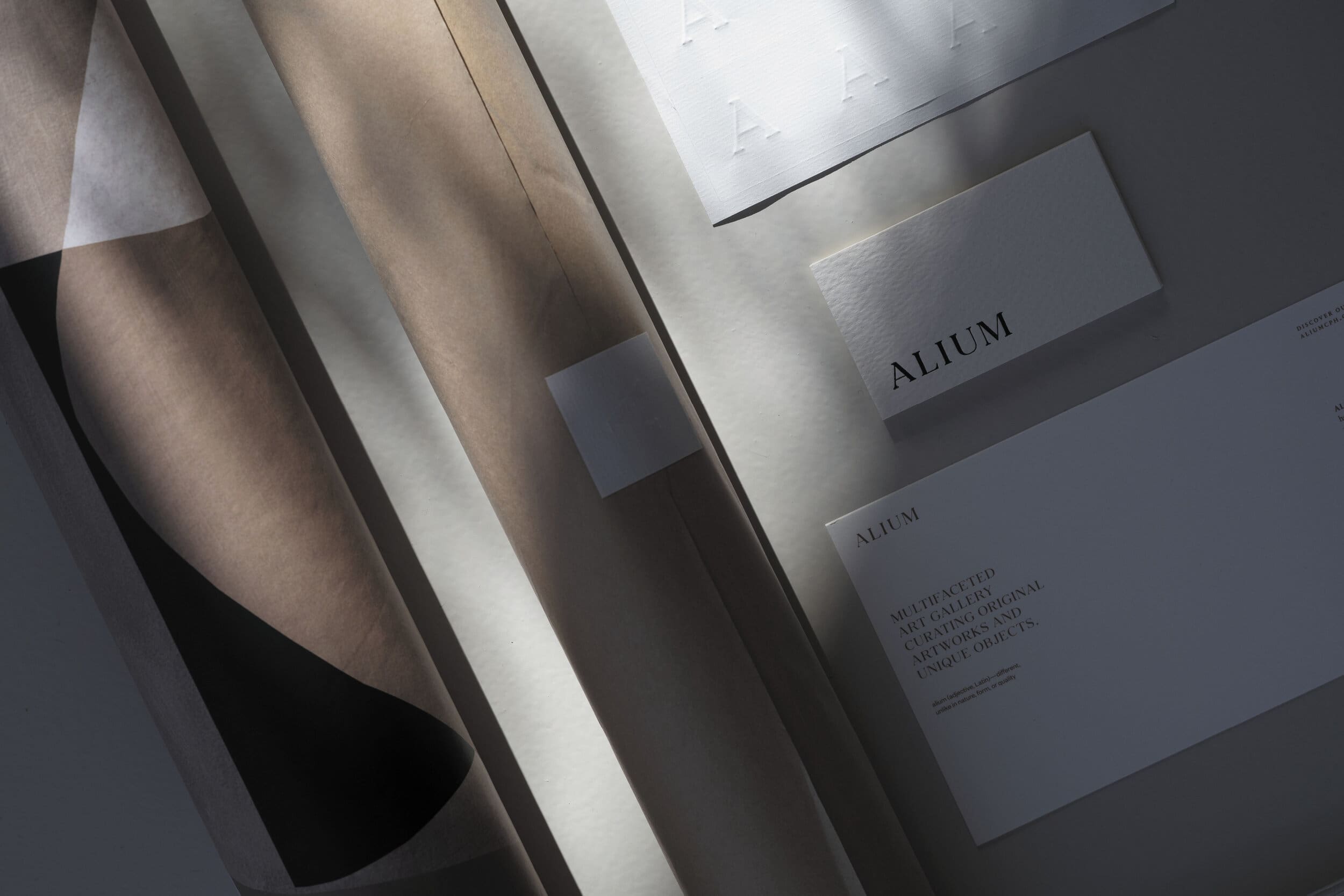 8585_Alium_28