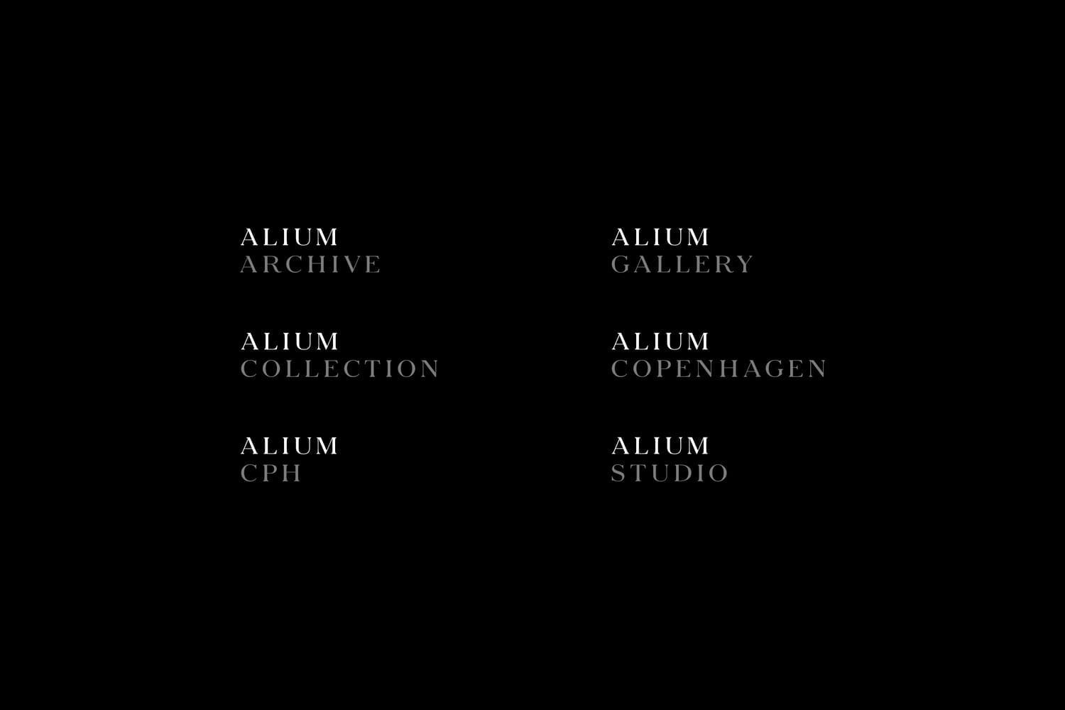 8585_Alium_3